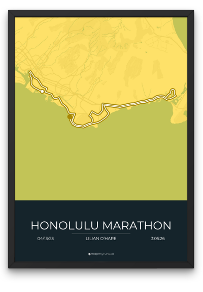 Honolulu Marathon - Image 4