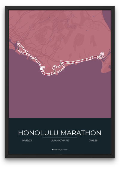 Honolulu Marathon - Image 7