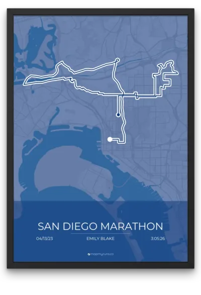 San Diego Marathon - Image 5