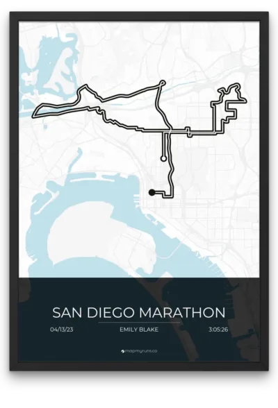 San Diego Marathon - Image 8