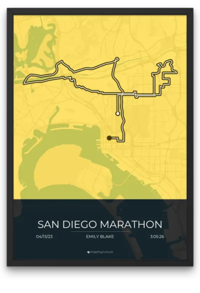 San Diego Marathon - Image 4