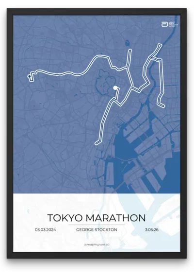 Tokyo Marathon - Image 8