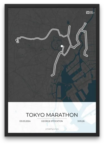 Tokyo Marathon - Image 3