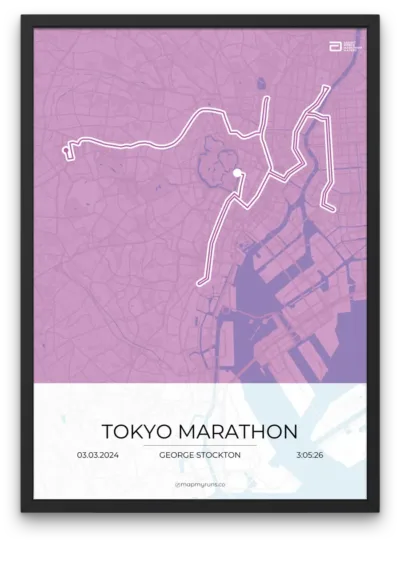 Tokyo Marathon - Image 6