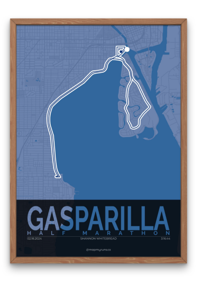 Gasparilla Half Marathon - Image 2