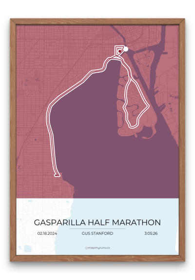 Gasparilla Half Marathon - Image 3