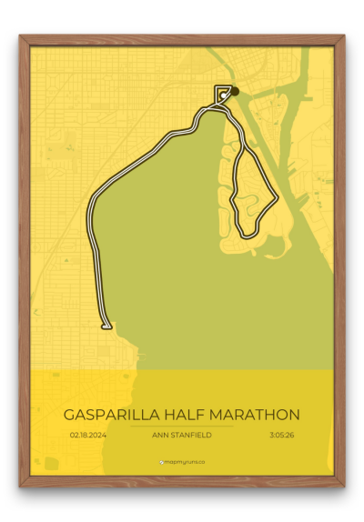 Gasparilla Half Marathon - Image 6