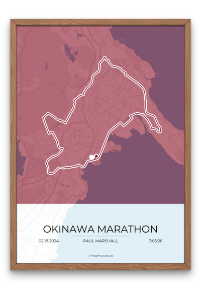 Okinawa Marathon - Image 4