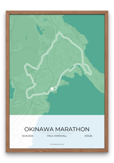 Okinawa Marathon - Image 8