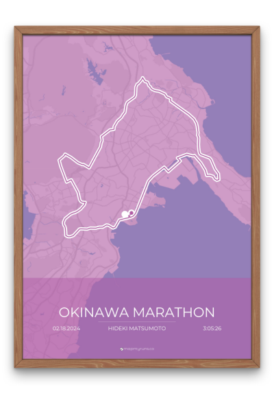 Okinawa Marathon - Image 2