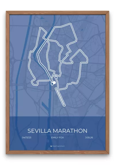 Sevilla Marathon - Image 4