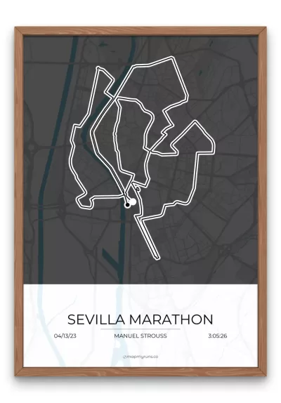 Sevilla Marathon - Image 6