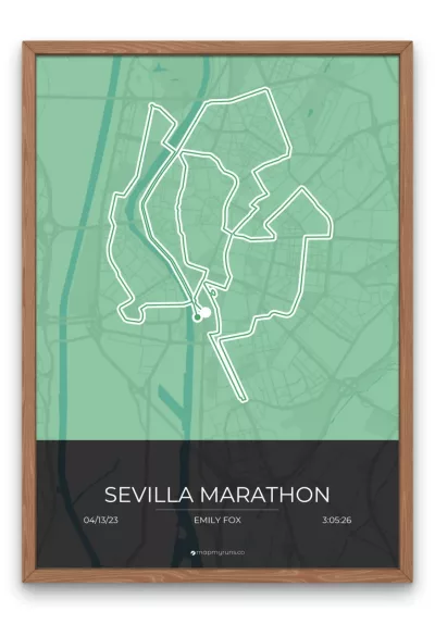 Sevilla Marathon - Image 2