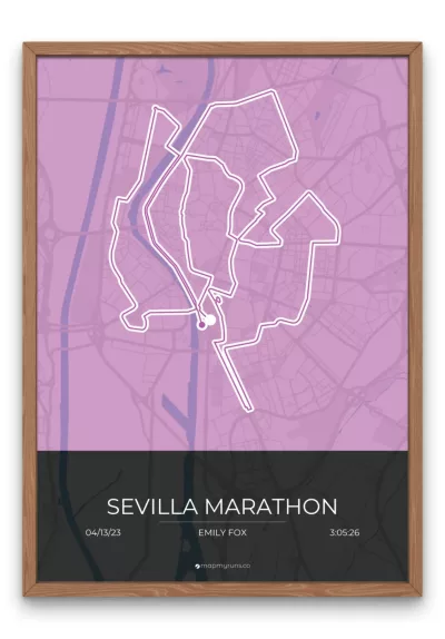 Sevilla Marathon - Image 3