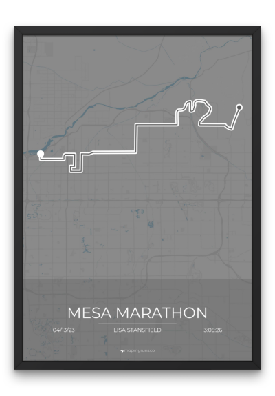 Mesa Marathon - Image 3