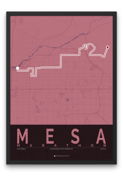 Mesa Marathon - Image 7