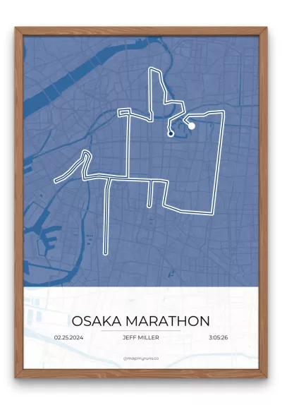 Osaka Marathon - Image 6