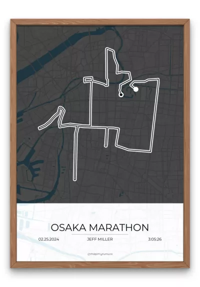 Osaka Marathon - Image 8