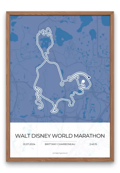 Walt Disney World Marathon - Image 5