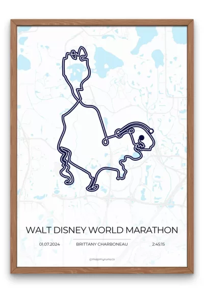 Walt Disney World Marathon - Image 6