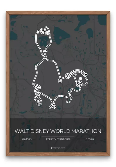 Walt Disney World Marathon - Image 7