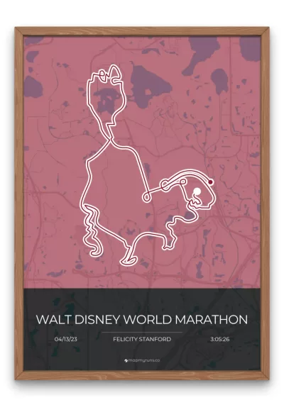 Walt Disney World Marathon - Image 8