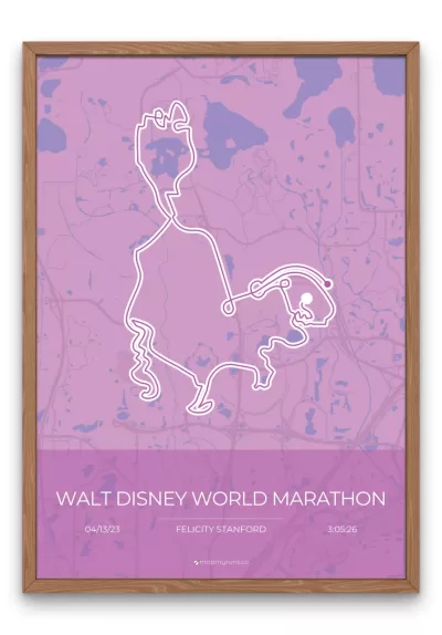 Walt Disney World Marathon - Image 2