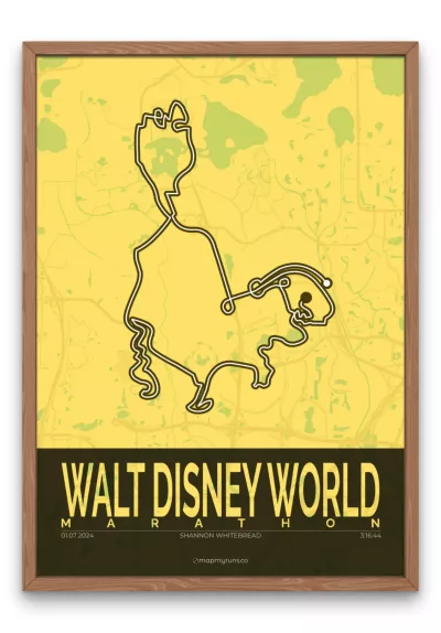 Walt Disney World Marathon - Image 3