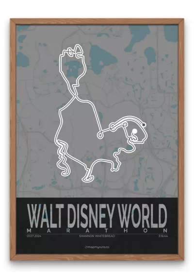 Walt Disney World Marathon - Image 4