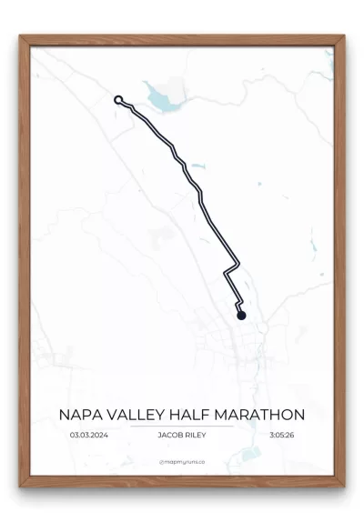 Napa Valley Half Marathon - Image 7