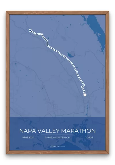 Napa Valley Marathon - Image 6