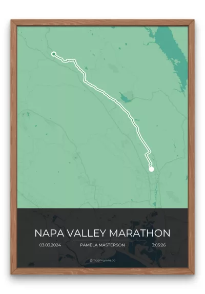 Napa Valley Marathon - Image 3