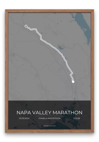 Napa Valley Marathon - Image 5