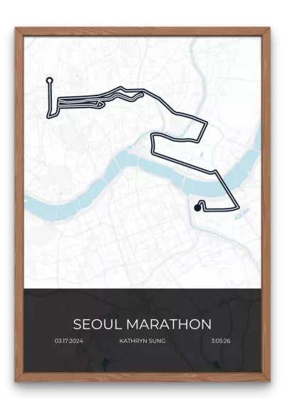 Seoul Marathon - Image 3