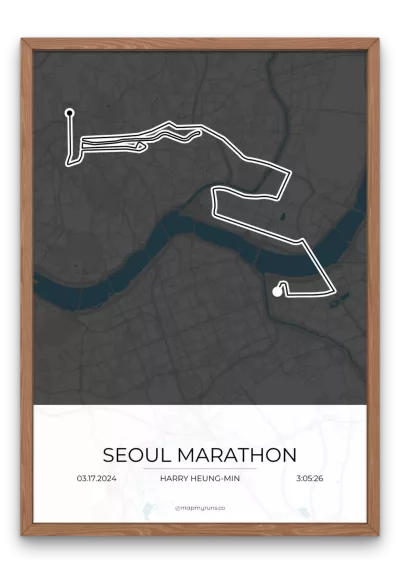 Seoul Marathon - Image 4