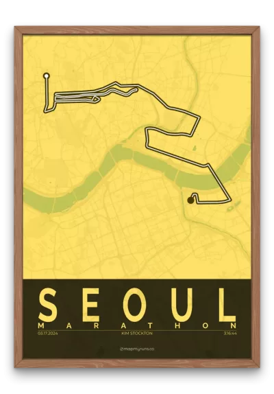 Seoul Marathon - Image 5