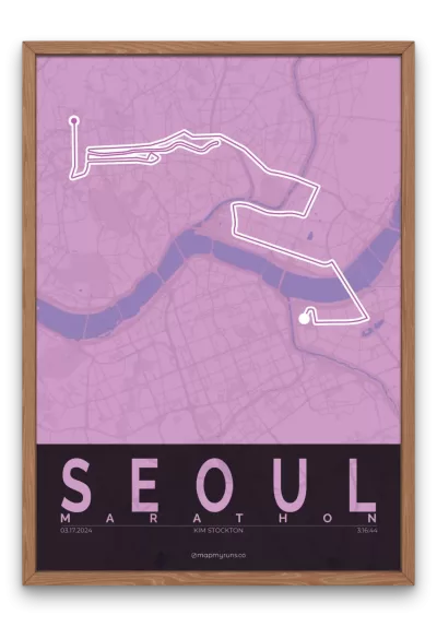 Seoul Marathon - Image 6