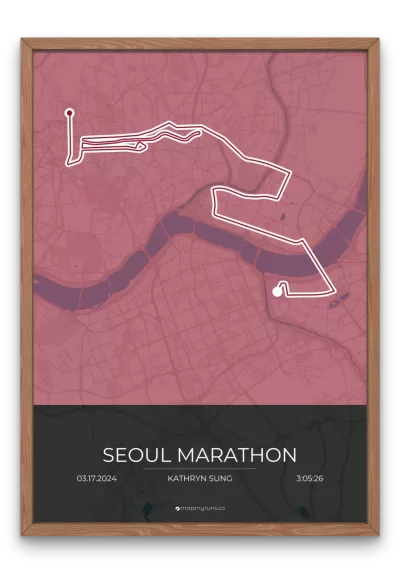 Seoul Marathon - Image 7