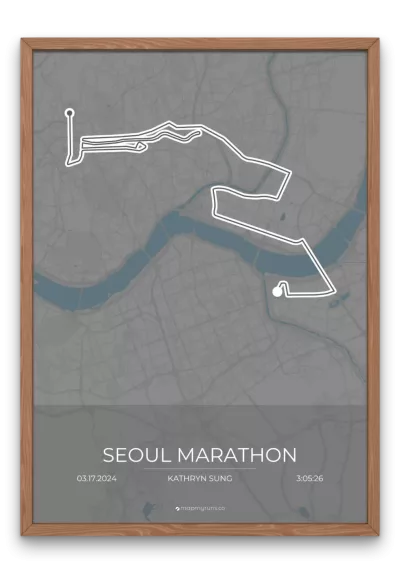 Seoul Marathon - Image 8