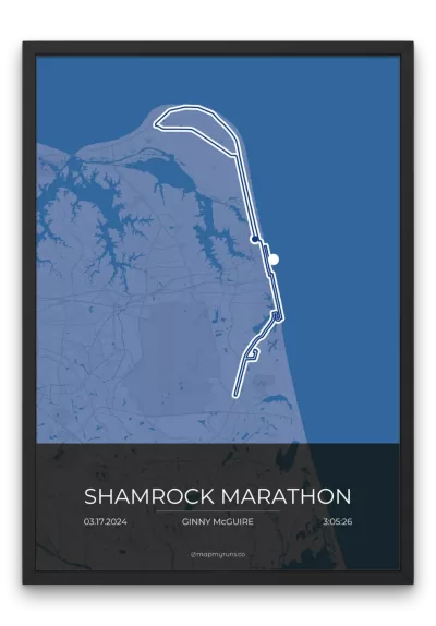 Shamrock Marathon - Image 2