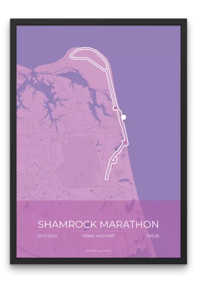 Shamrock Marathon - Image 6