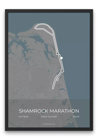 Shamrock Marathon - Image 8